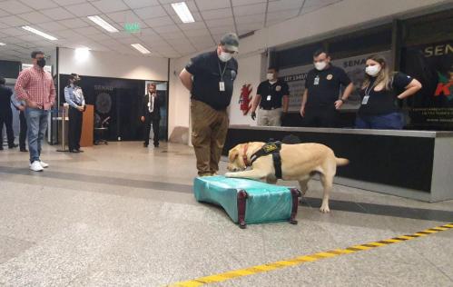 Aeropuerto: Can antidrogas detectó cocaína en la maleta de una mujer